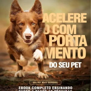 Treinamento de Cães