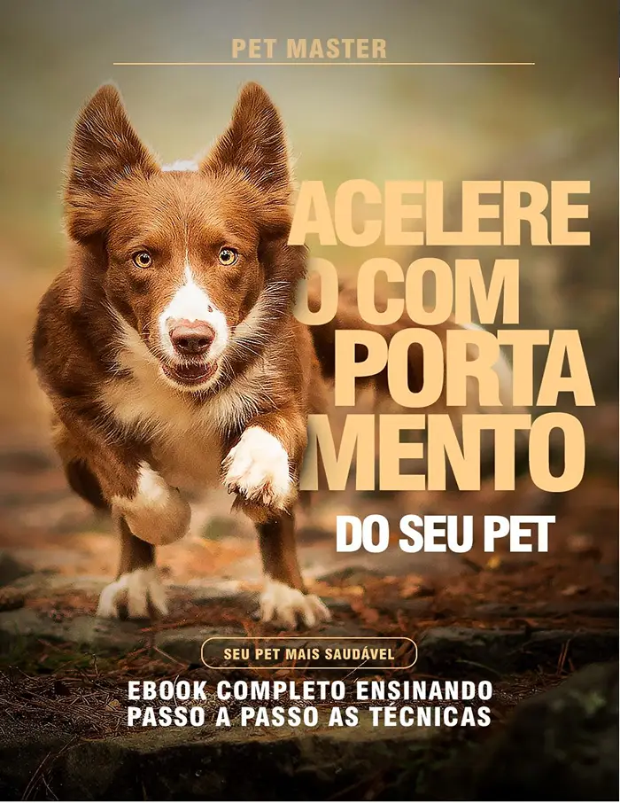 Treinamento de Cães