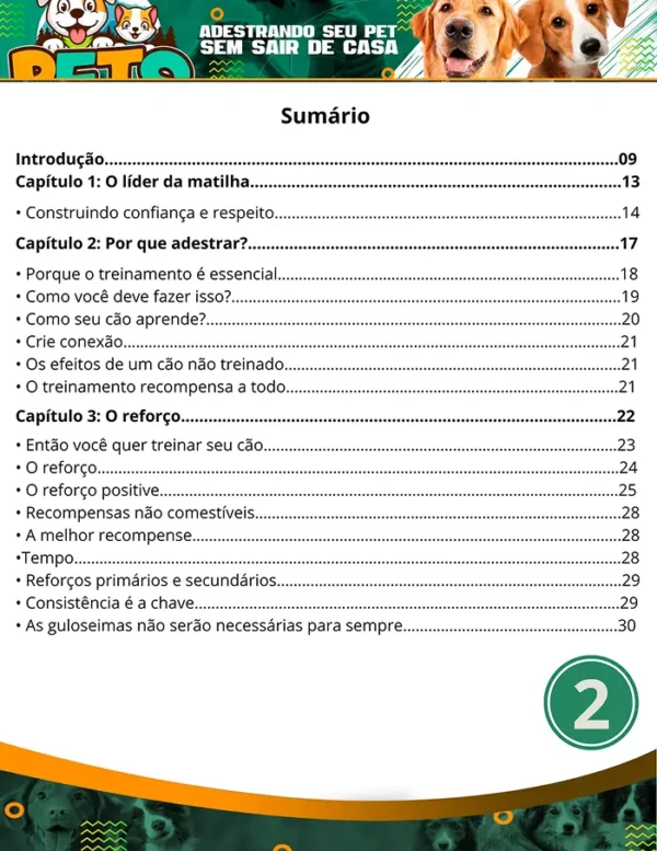Adestramento Canino