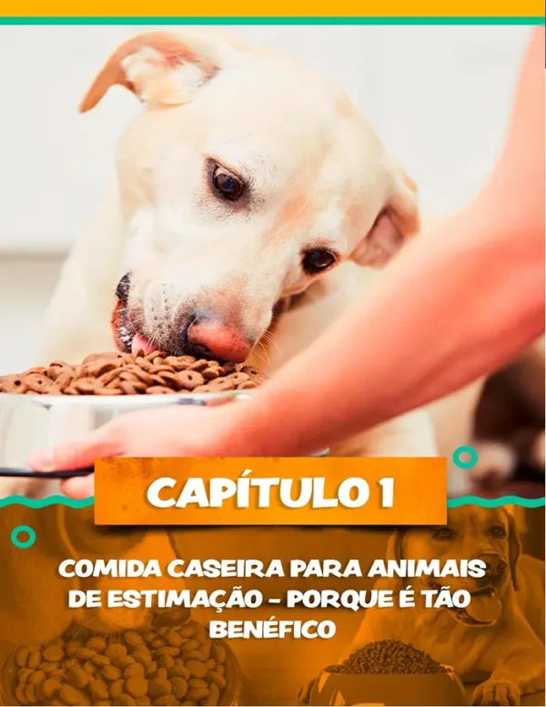 Alimentação Natural para Pets